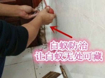 深圳專(zhuān)業(yè)保潔與除蟲(chóng)服務(wù) 工廠、商店、展廳的全方位清潔解決方案